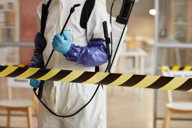 Professional Hoarding Cleanup technician working in Waynesville, NC